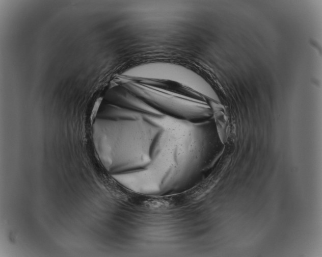 X0000090950512200708301143