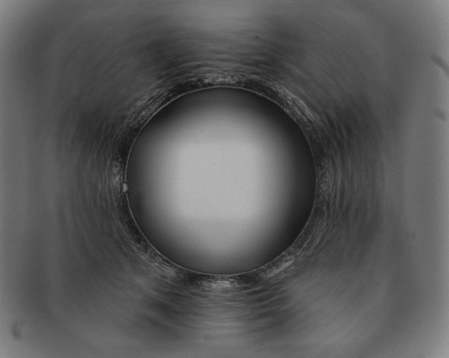 X0000090950513200708301143