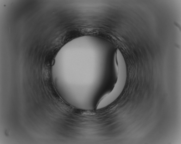 X0000090950515200708301143