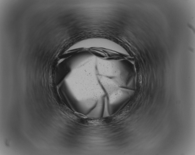 X0000090950516200708301143