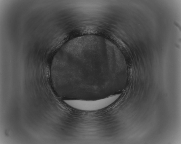 X0000090950517200708301143