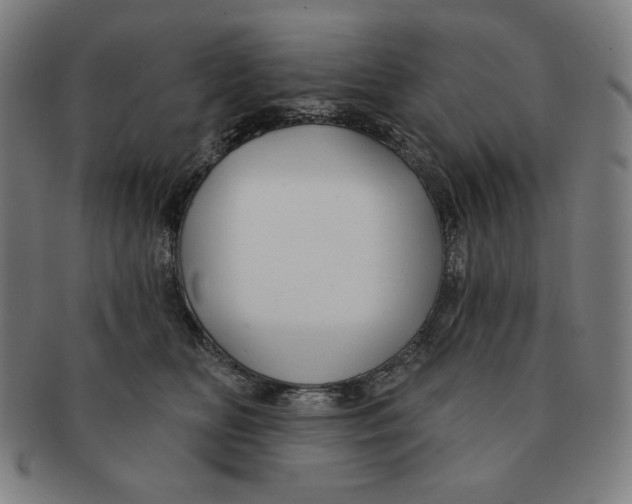 X0000090950518200708301143