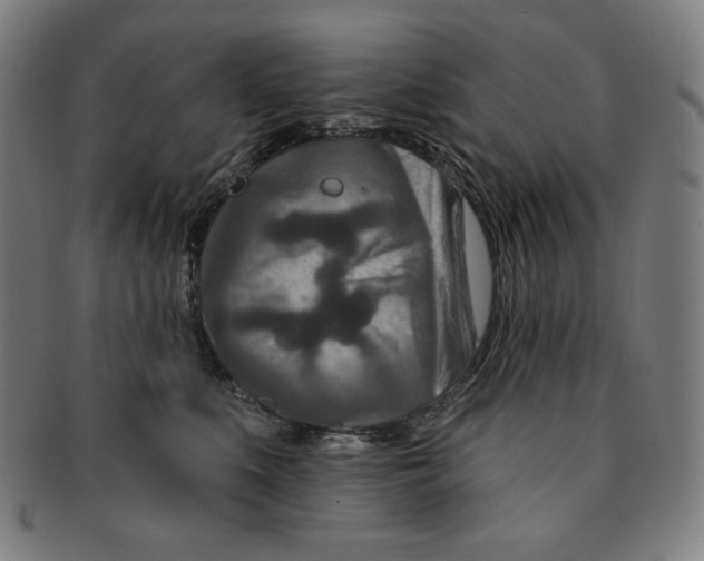 X0000090950519200708301143