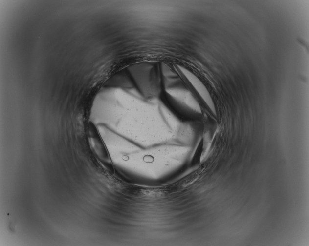 X0000090950520200708301143