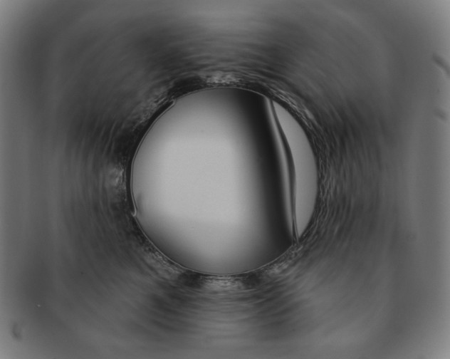 X0000090950521200708301143