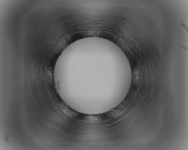 X0000090950522200708301143