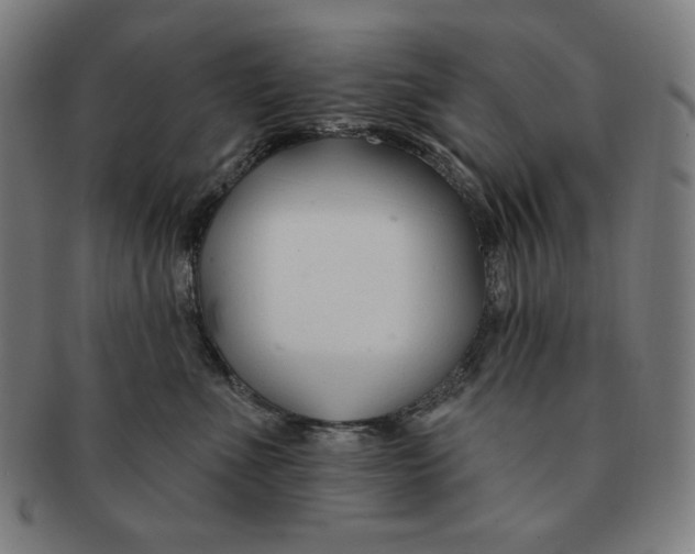 X0000090950523200708301143