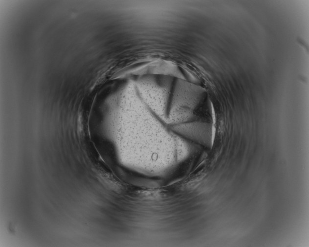 X0000090950524200708301143
