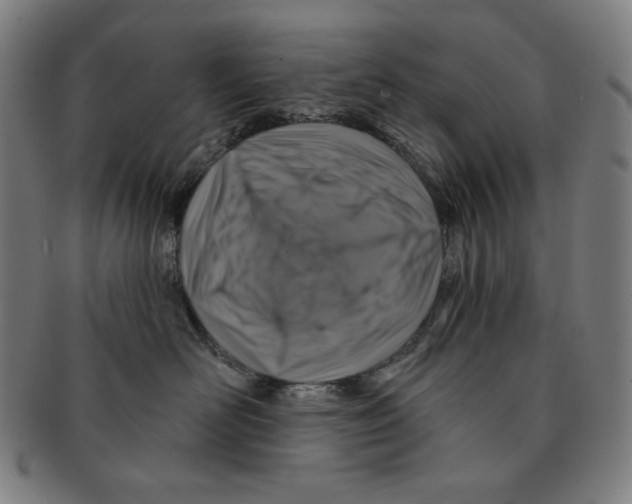 X0000090950526200708301143