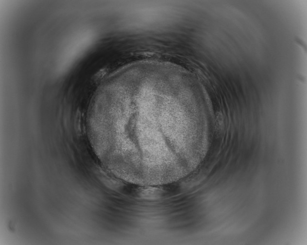 X0000090950527200708301143