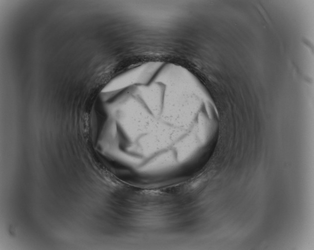 X0000090950528200708301143