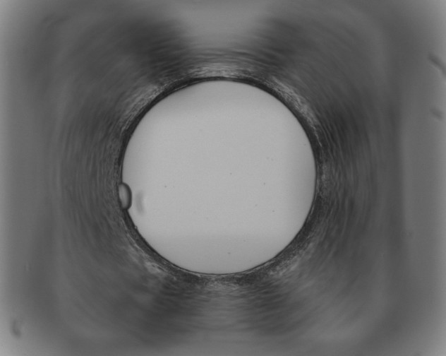 X0000090950529200708301142