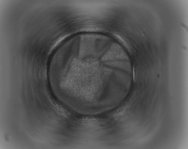 X0000090950531200708301142