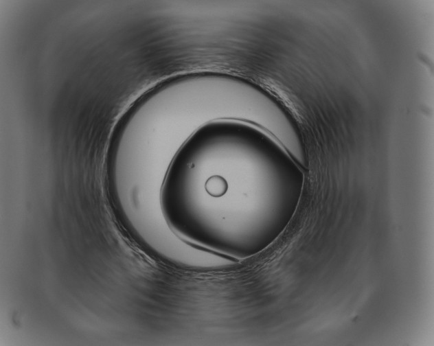 X0000090950532200708301142