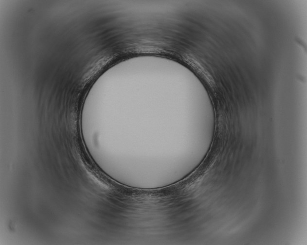 X0000090950533200708301142