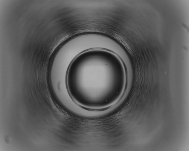 X0000090950534200708301142