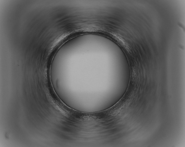 X0000090950535200708301142