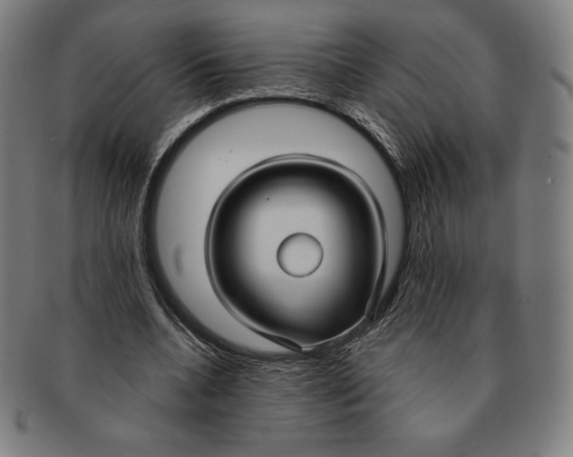 X0000090950536200708301142