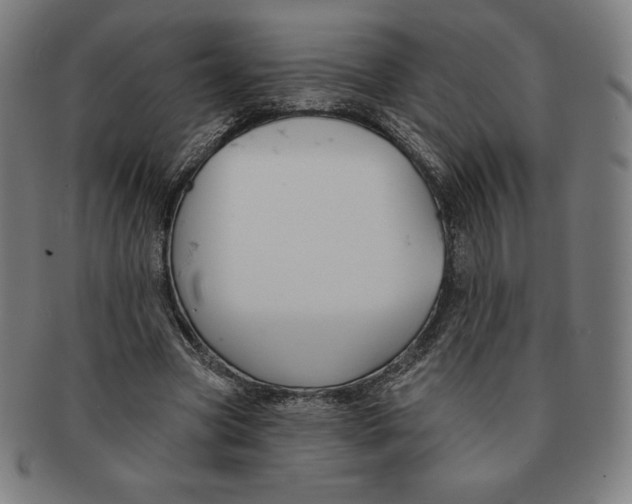 X0000090950537200708301142