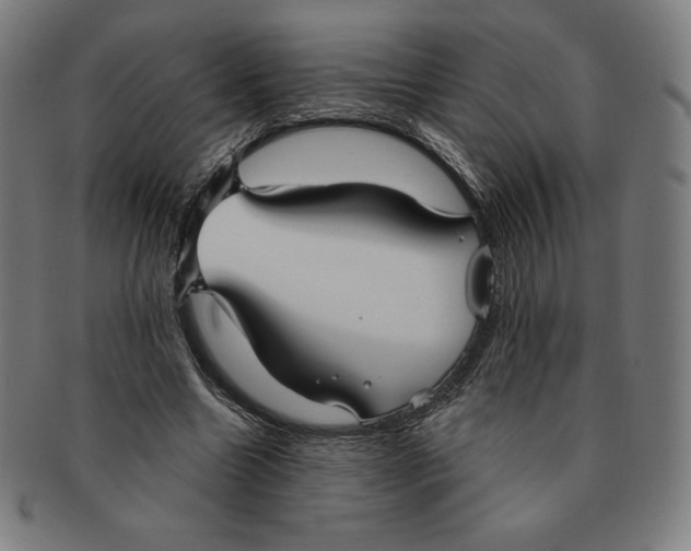 X0000090950538200708301142