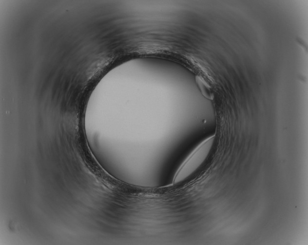 X0000090950539200708301142