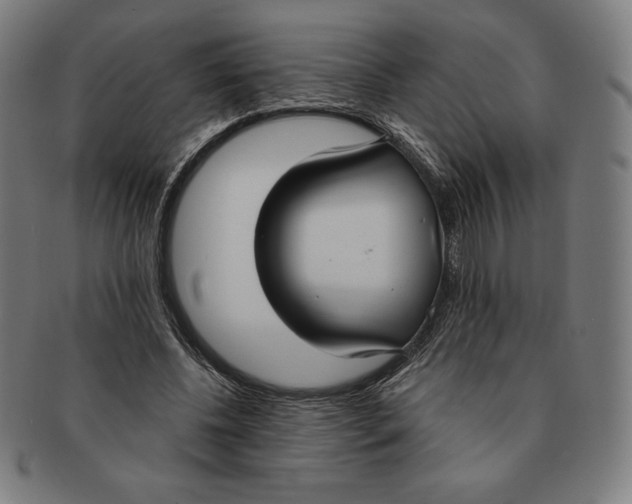 X0000090950540200708301142