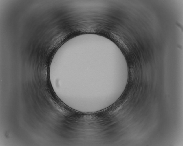 X0000090950541200708301142