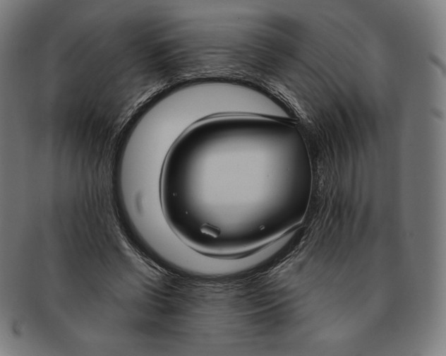X0000090950542200708301142