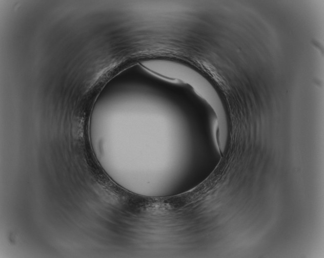 X0000090950543200708301142
