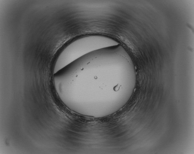 X0000090950544200708301142