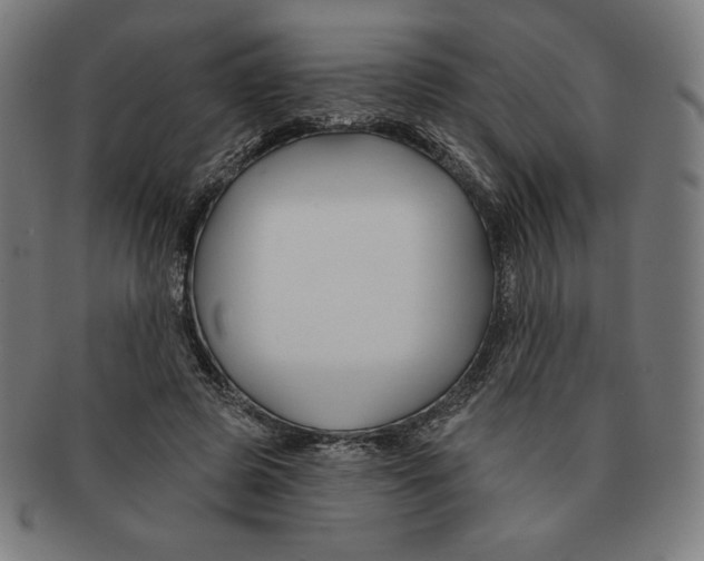 X0000090950545200708301142