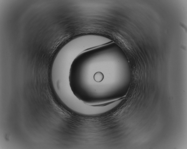 X0000090950546200708301142