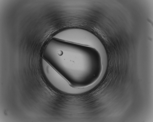 X0000090950548200708301142
