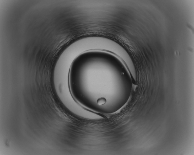 X0000090950550200708301142