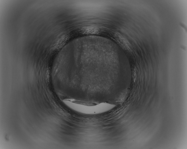 X0000090950551200708301142