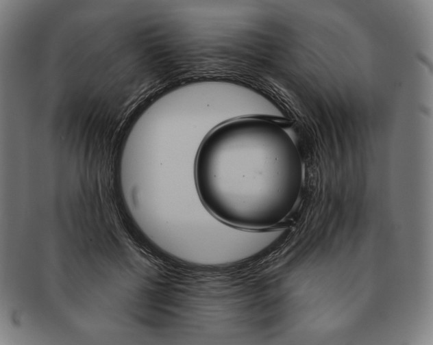 X0000090950552200708301142