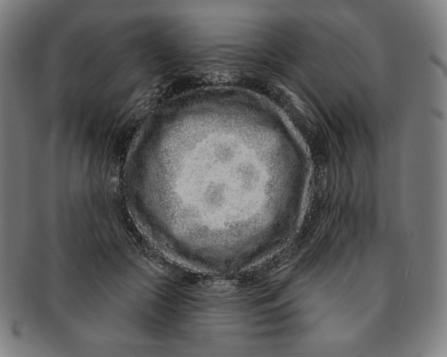 X0000090950553200708301142