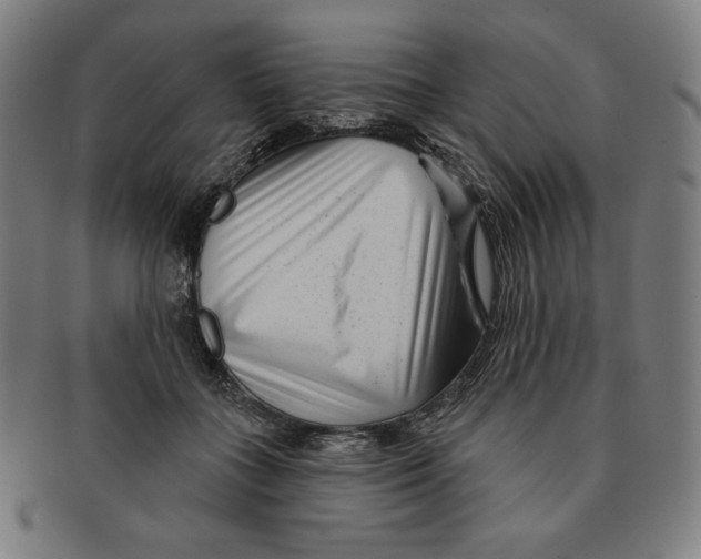 X0000090950555200708301142