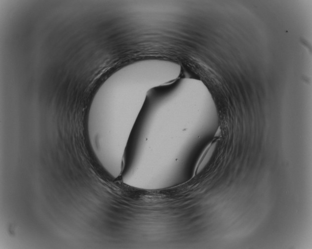 X0000090950556200708301142