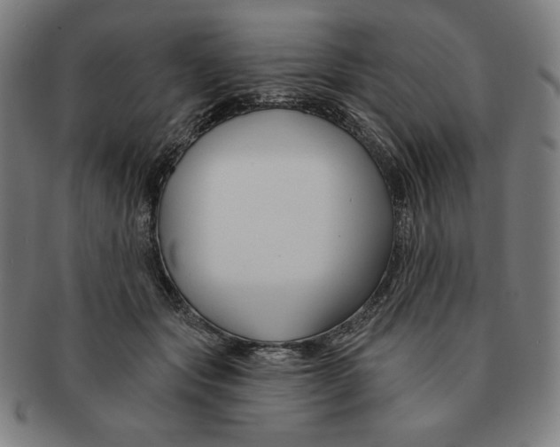 X0000090950557200708301142