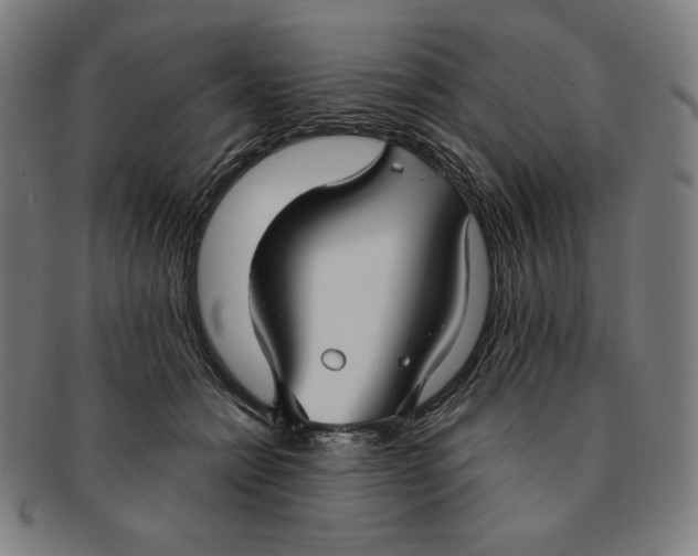 X0000090950558200708301142