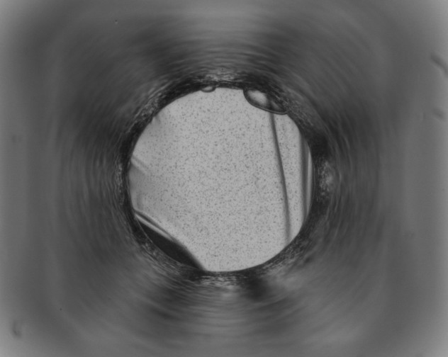 X0000090950559200708301142