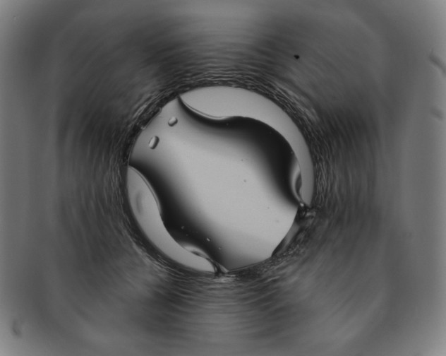 X0000090950560200708301142