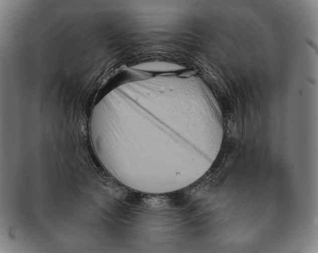 X0000090950561200708301142