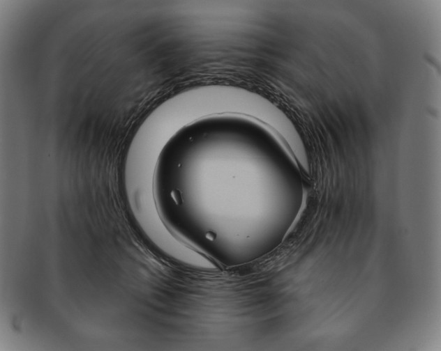 X0000090950562200708301142