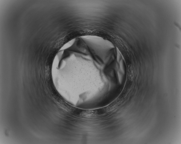 X0000090950563200708301142