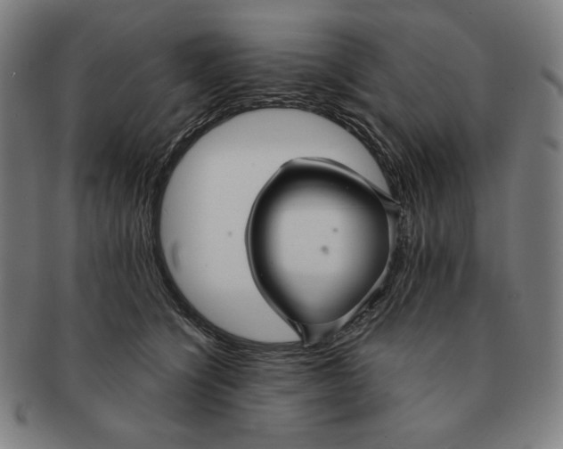 X0000090950564200708301142