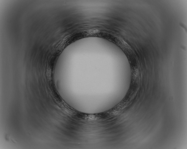X0000090950565200708301142