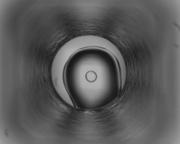X0000090950566200708301142