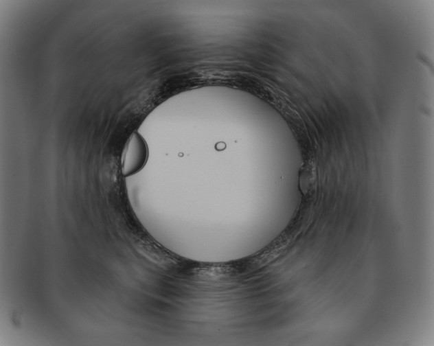 X0000090950567200708301142